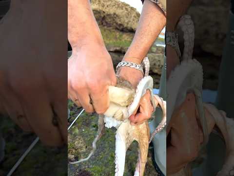 طريقة التنظيف والطبخ🤯 #صيد #fishing #سمك  #اكسبلور