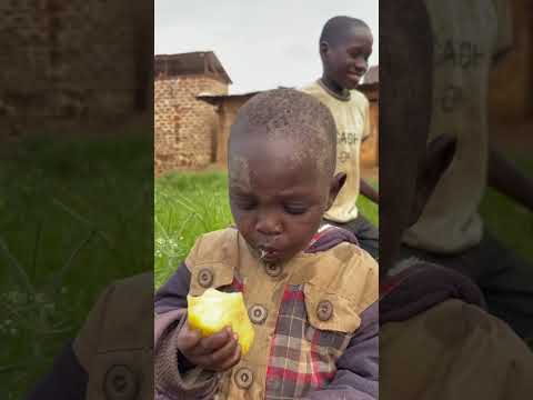 Donate to feed by using the link in our bio profile (gofundme)