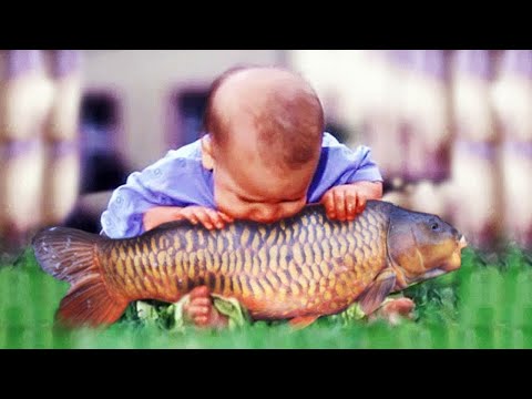 Funny Kids and Babies Meeting FISH for the first time