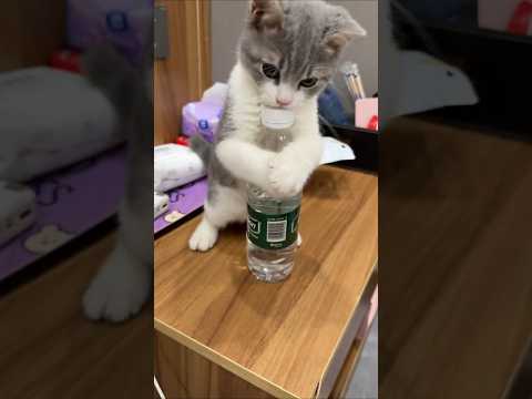 Performance 💞💞 #shorts #shortsfeed #trendingshorts #performance