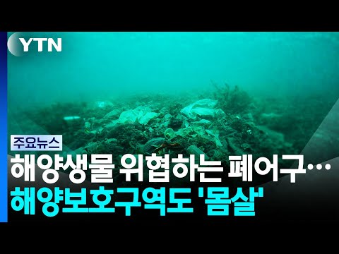 해양생물 위협하는 폐어구...해양보호구역도 '몸살' / YTN
