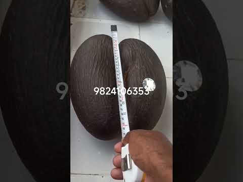 natural original khapper antique piece #gemquality #hindugod #shiv