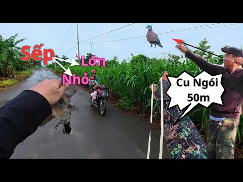 Dùng Ná Cao Su Đi Săn Dẫn 2 Sếp Lớn,Nhỏ Đi Theo Trải Nghiệm 1 Ngày Dăng Nắng Với || SangSlingShot