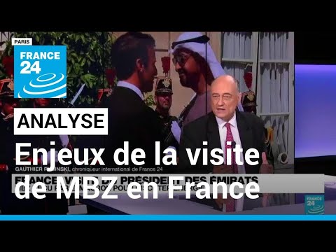 France: Les enjeux de la visite du président des Emirats arabes unis • FRANCE 24