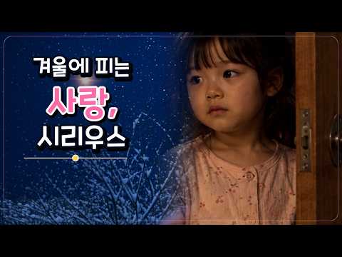 [뮤직비디오] 겨울에 피는 사랑, <strong>시리우스</strong> | 너는 나에게 별이 된다 | 최영빈 | 주니 | 베리퐁당