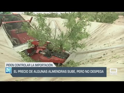 El Campo | El precio de algunas almendras sube, pero no despega | 27/09/24