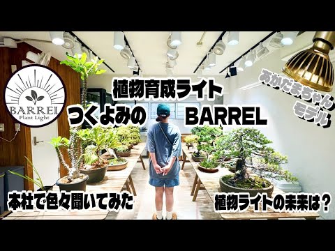 【植物】植物育成LEDライトツクヨミって知ってますか？（超有名なBARRELの新商品とは？そしてツクヨミあかだまちゃんモデルの誕生秘話）