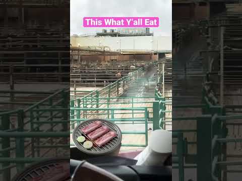 Picking Up Meat 🍖 At The Tyson Plant | Unalived Cow 🐄 Plowed Away