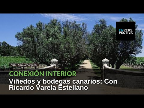Conexión Interior a viñedos y bodegas canarios: Con Ricardo Varela Estellano, de Viña Varela Zarranz