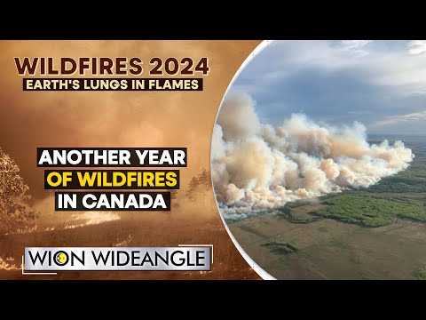 Canada wildfires | WION Wideangle