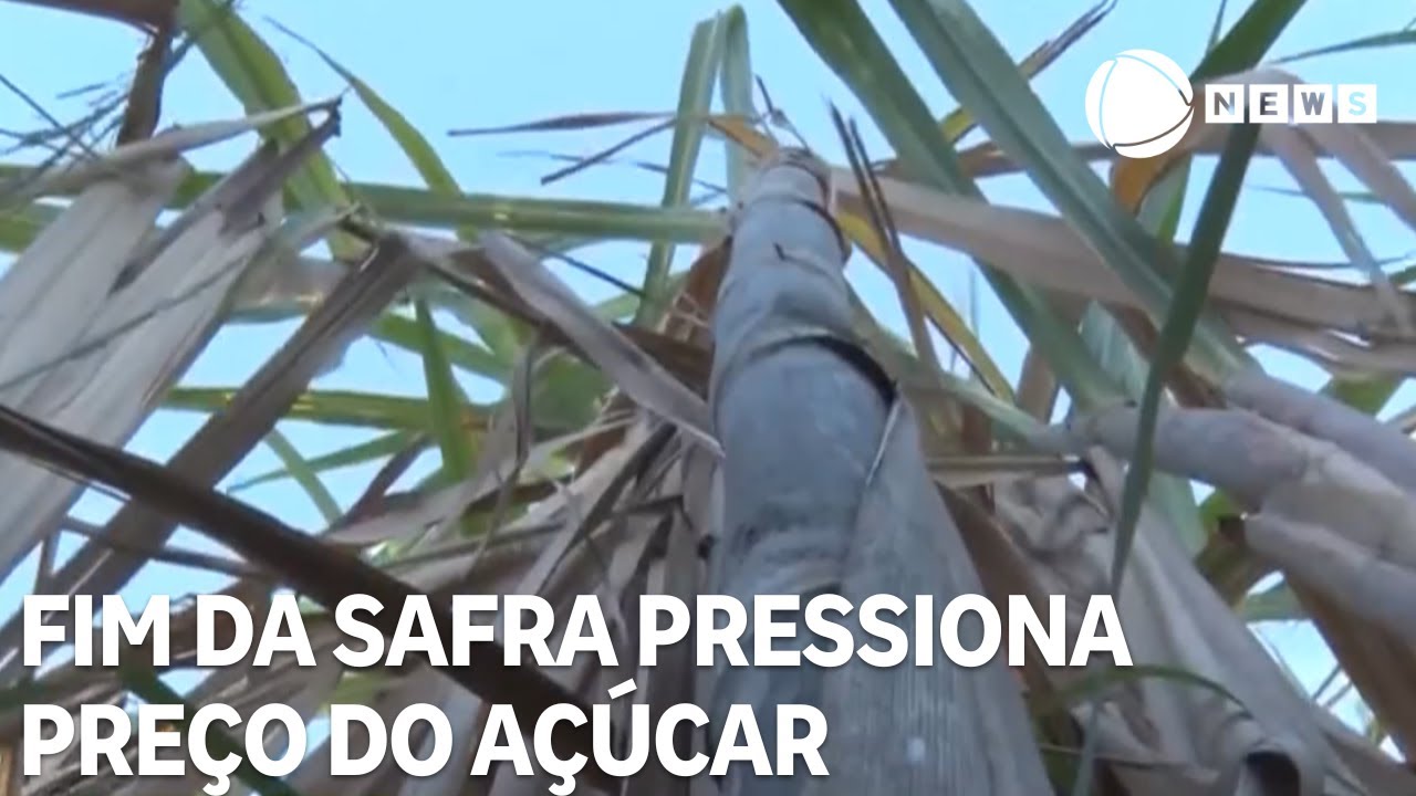 Preço do açúcar segue pressionado com encerramento do açúcar