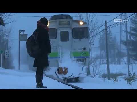 En Japón mantuvieron una estación de tren abierta solo por una pasajera