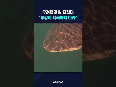 우려했던 일 터졌다 "부캉이 자극하지 마라" #shorts