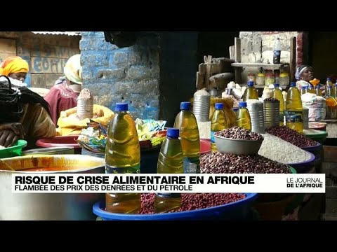 L'Afrique face au risque de crise alimentaire avec la guerre en Ukraine • FRANCE 24