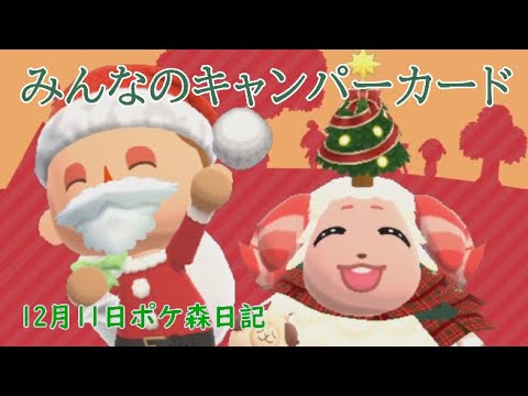 【ポケ森日記】6年12月11日🎄みんキャ📷️ #ポケ森 #どうぶつの森