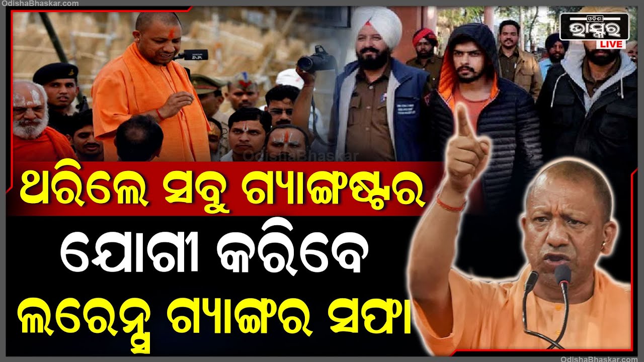 ଥରିଲେଣି ସବୁ ଗ୍ୟାଙ୍ଗଷ୍ଟର...କାରଣ ଚେତାବନୀ ଦେଲେ ଯୋଗୀ, କରିବେ ଲରେନ୍ସ ଗ୍ୟାଙ୍ଗର ସଫା ! Yogi || Lawrence Gang