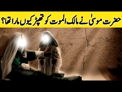 Why Hazrat Musa AS Slapped The Angel Of Death | Story Of Hazrat Musa AS  | Urdu/Hindi