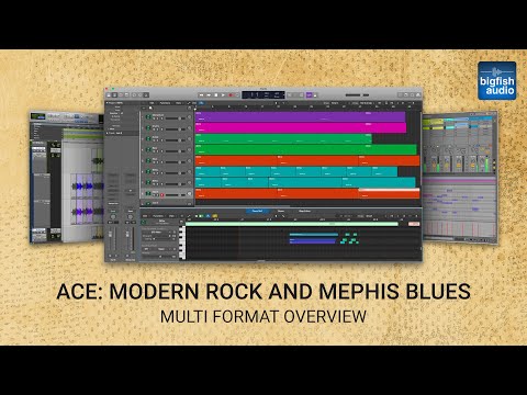 Multi Format Overview - Ace: Modern Rock and Memphis Blues