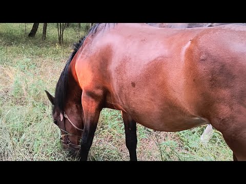 ЗНОВУ з вами ❤️🔥🤗