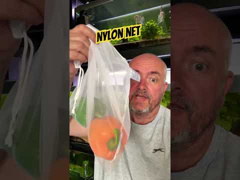 Aquascaping on the cheap #aquarium #fishkeepinghob 