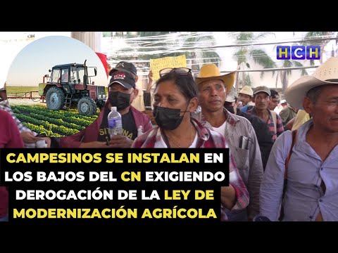 Campesinos se instalan en los Bajos del CN exigiendo derogación de la Ley de Modernización Agrícola