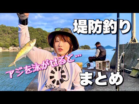 秋の堤防釣り動画まとめ【アジ泳がせ/ちょい投げ/エギング】