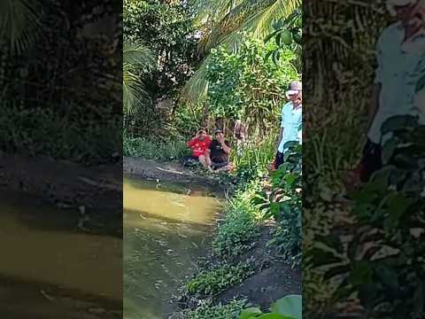 🌺anh đi làm hay đi với nhân tình của anh 🌺🤣