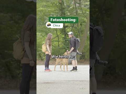 Wir schmelzen bei Chicas Hundeblick! 🥰 #fressnapf #allesfürdeintier #hundefotoshooting