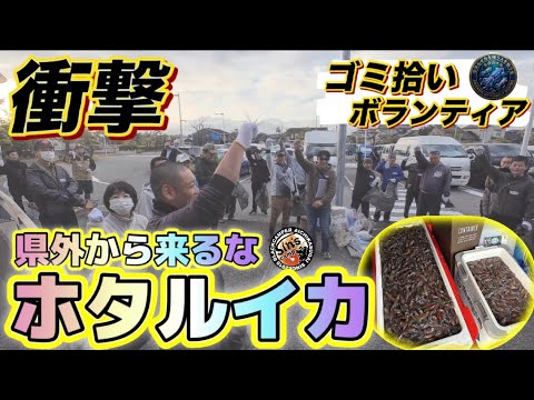 ホタルイカ掬い　4月の新月ターンに4日連続戦いに行ってみた！