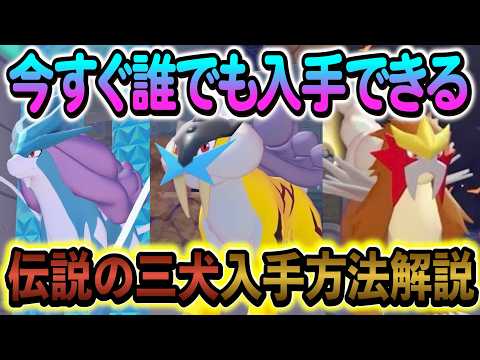 [ぽこあポケモン]伝説ポケモンのエンテイ・ライコウ・スイクンの入手方法を解説します！