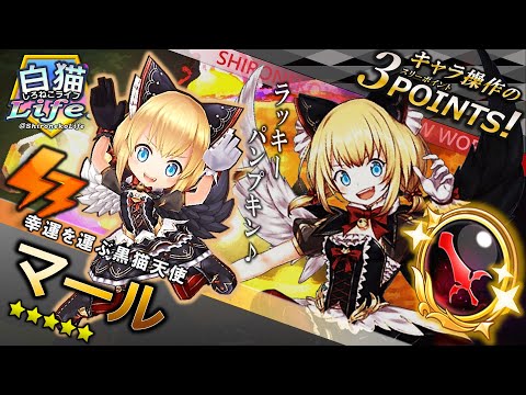 ＜白猫Life!＞マールのグランドクラスが解放！ チャージ必殺技でカボチャ攻撃！ たくさんのスイーツでクリティカルダメージをプレゼントだ！【白猫プロジェクト】