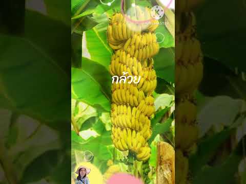 5ผลิตผลทางการเกษตรทำจังๆรวยจร