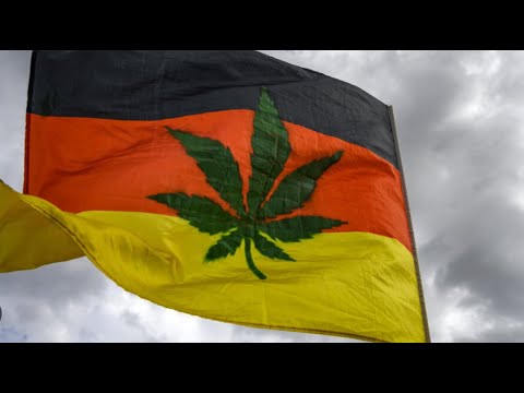 Légalisation du cannabis en Allemagne : Les craintes des forces anti-stupéfiantes françaises