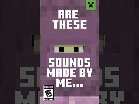 WHICH MINECRAFT SOUNDS DID I MAKE?