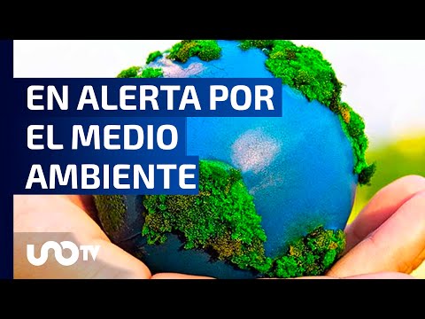 En alerta mundial por el medio ambiente