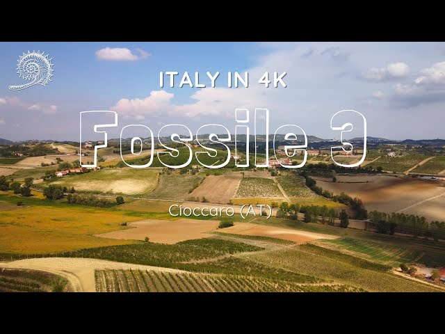 The third "fossil" is a bit hidden in the trees but we scouted it out, as always surrounded by fabulous views.

------------------------------
The hills, on which today are born our villages and verdant vineyards that lie on soft hillocks, were once submerged by the sea. In fact, this territory boasts a long and interesting geological history. It is precisely from this concept that the idea was born to revive those ancient marine inhabitants in their place of origin, making them swim like old ghosts in their sea today, however, formed by rows that resemble ocean waves. The evidence of this curious past we can find not only in the fossil finds that resurface from the soil but also in the geological stratification of the latter and again in some characteristics of our wines such as salinity. 

Giorgia Sanlorenzo

https://www.terremersemonferrato.it
------------------------------


Il terzo "fossile" è un po' nascosto tra gli alberi ma l'abbiamo scovato, come sempre immerso in favolosi panorami.

––––––––––––––––––––––––––––––
Le colline, su cui oggi nascono i nostri paesi e verdeggianti vigneti che si adagiano su morbidi poggi, un tempo erano sommerse dal mare. Questo territorio infatti, vanta una lunga ed interessante storia geologica. Proprio da questo concetto nasce l'idea di far rivivere quegli antichi abitanti marini nel loro luogo d'origine, facendoli nuotare come vecchi fantasmi nel loro mare oggi però formato da filari che ricordano le onde dell'oceano. Le testimonianza di questo curioso passato le possiamo trovare non solo nei reperti fossili che riemergono dal terreno ma anche nella stratificazione geologica di quest'ultimo ed ancora in alcune caratteristiche dei nostri vini come la salinità. 

Giorgia Sanlorenzo

https://www.terremersemonferrato.it
––––––––––––––––––––––––––––––
––––––––––––––––––––––––––––––
Więcej na stronie Włoski Punkt Widzenia 
Wloski Punkt Widzenia ➜ https://www.wloskipunkt.pl
Instagram ➜ @wloski.punkt
Facebook ➜ wloskipunkt
––––––––––––––––––––––––––––––

▼▼▼▼▼▼▼▼▼▼▼▼▼▼▼▼▼▼▼▼▼▼▼▼▼▼▼▼▼▼▼▼▼▼▼▼
Song: Alex-Productions - STEPS
Music provided by Eytheria No Copyright Music
Video Link: https://youtu.be/gXJR3mfU1Cw

Alex-Productions
https://open.spotify.com/artist/1mVjD...
https://www.youtube.com/channel/UCx0_...
https://soundcloud.com/alexproduction...
https://www.instagram.com/alex_produc...
▲▲▲▲▲▲▲▲▲▲▲▲▲▲▲▲▲▲▲▲▲▲▲▲▲▲▲▲▲▲▲▲▲▲▲▲