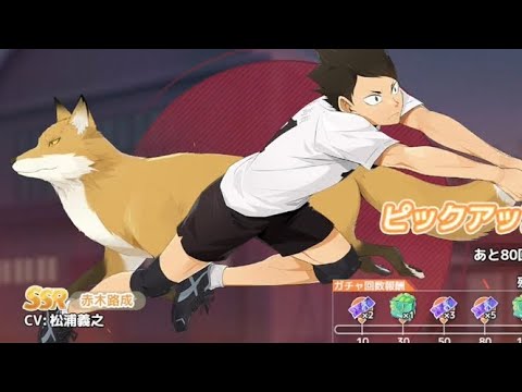 【ハイフラ】赤木路成ピックアップガチャ