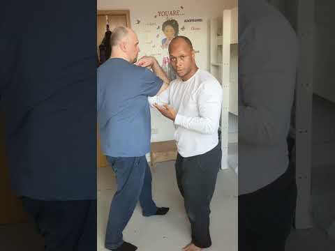 Kuntao Mantis | Double Punch Interception & Chin Na Shoulder Lock