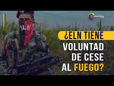 ELN al Gobierno: “Reiteramos nuestra disposición para alcanzar un cese bilateral del fuego”