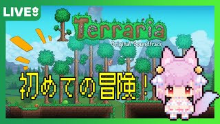 【#Terraria 】初めての冒険へレッツゴー！ ฅ^•ﻌ•^ฅ💕参加希望者へはDMで ＃1【片桐マミ】