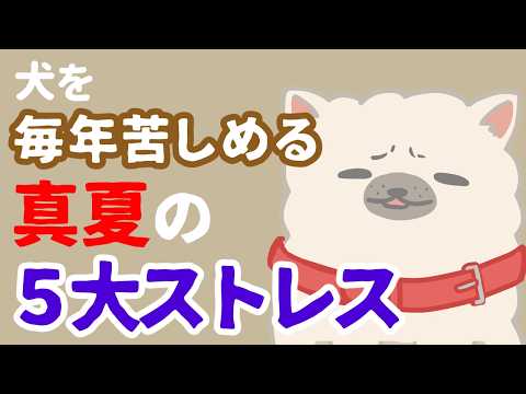 夏はツラいよ‥犬の心と体を追い詰める5大ストレス