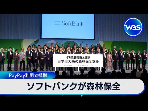 経済金融の動画サムネイル - ソフトバンクが森林保全　PayPay利用で植樹【WBS】