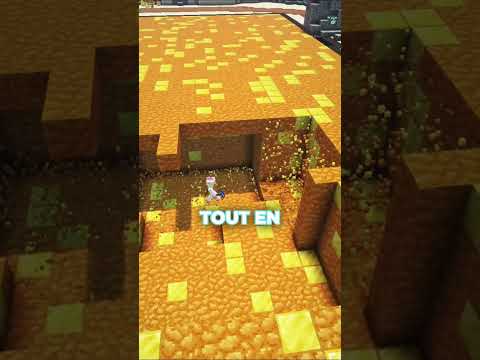 ⬆️ Rejoins le Discord en bio - Ce joueur a trop farmé sur mon serveur minecraft !