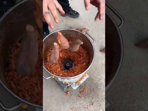 풀 스테인리스 사료 분쇄기