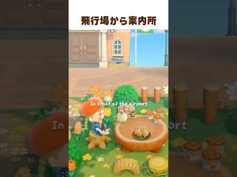 飛行場から案内所まで６マス 🐾 #shorts #あつ森