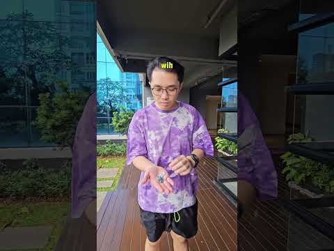 SAAT PUNYA ISTRI JUJUR