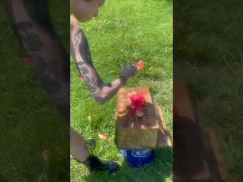 🔫 Colt Python 🐍 .357 Magnum vs Watermelon 🍉 SLOW MOTION