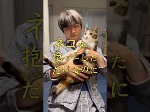 ネコを抱っこしただけなのに… #ミステリー #サスペンス #猫