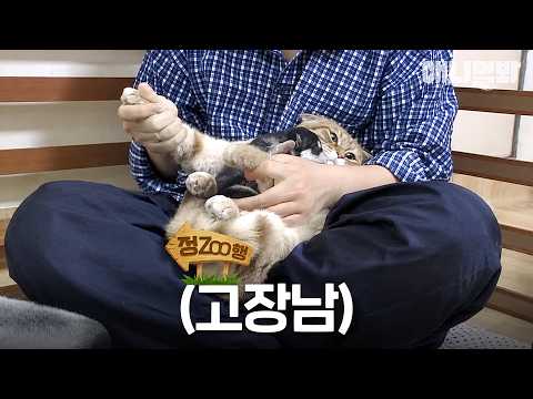 [정ZOO행] 아 잠만요 아기 강쥐는 처음이라 | EP.46 #동물농장 #animalfarm