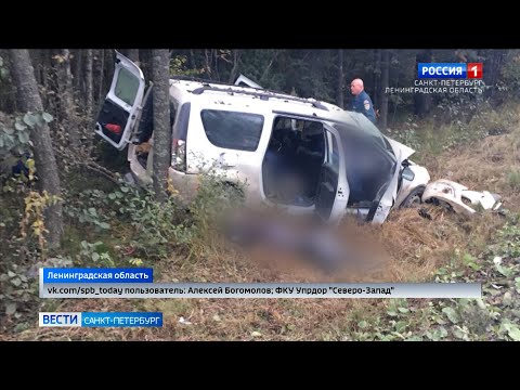 Трагедия на федеральной трассе Нарва